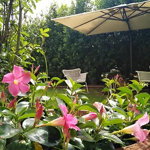 Bio Vivere La Vita Bed & Breakfast